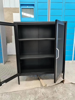 Home Series 2 Glass Door Steel Storage Cabinet With Feet